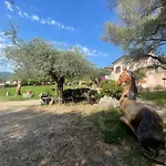 Azienda Agrituristica Contras Feriehus
