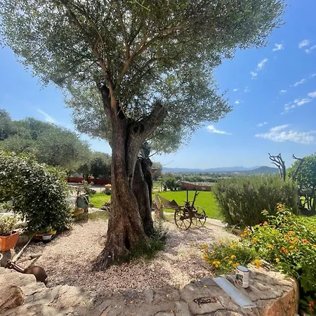 Azienda Agrituristica Contras *