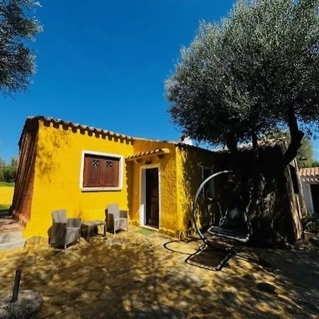 Сasa de vacaciones Azienda Agrituristica Contras Olbia