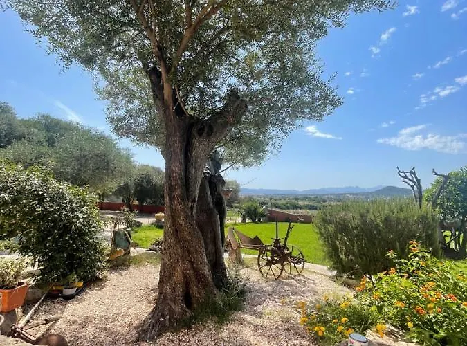 Azienda Agrituristica Contras *